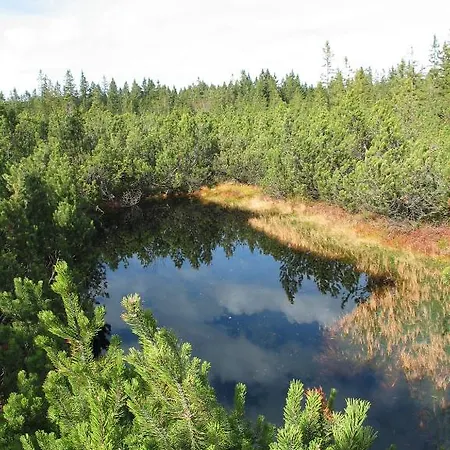 A Depandance 4* Srní